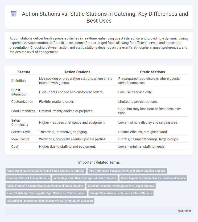 Action Stations vs. Static Stations in Catering: Key Differences and Best Uses