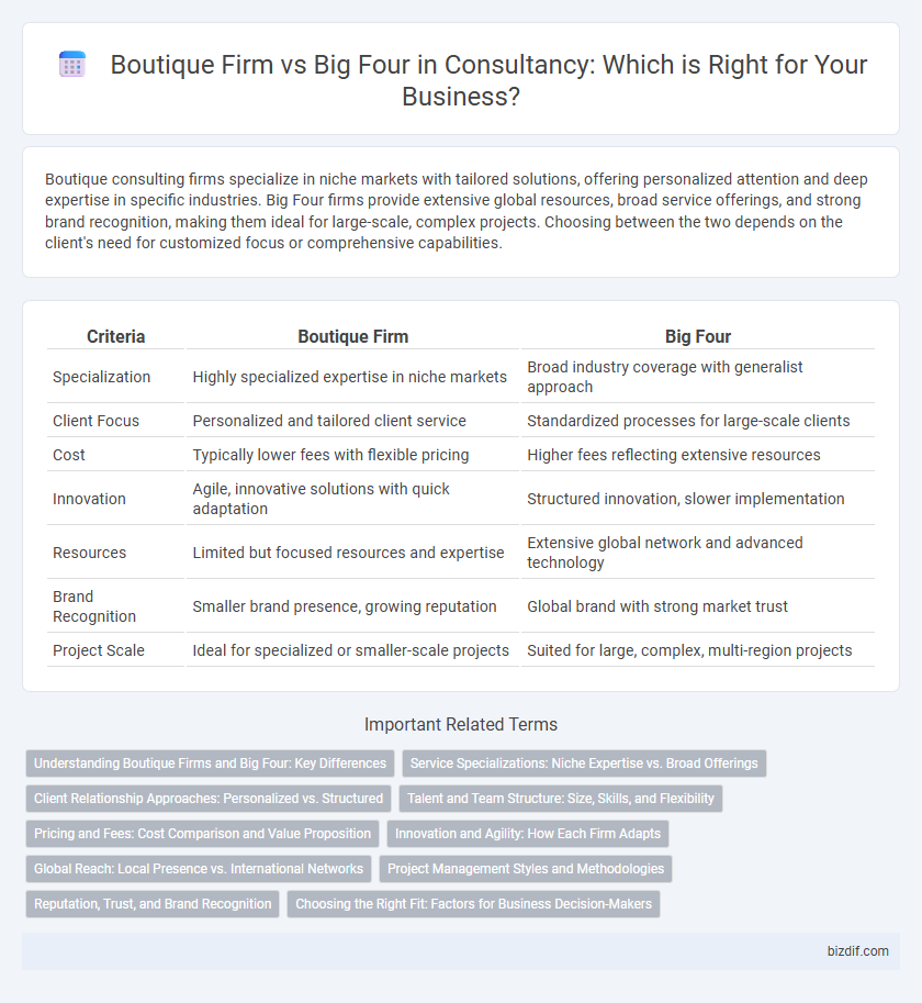 Boutique Firm vs Big Four in Consultancy: Which is Right for Your Business?
