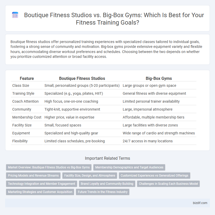 Boutique Fitness Studios vs. Big-Box Gyms: Which Is Best for Your Fitness Training Goals?