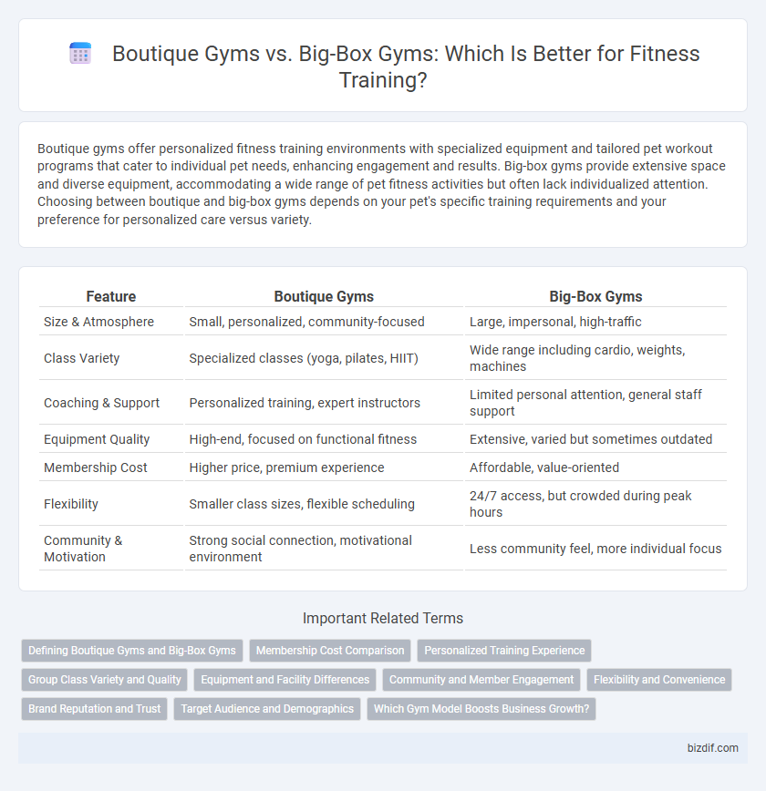 Boutique Gyms vs. Big-Box Gyms: Which Is Better for Fitness Training?