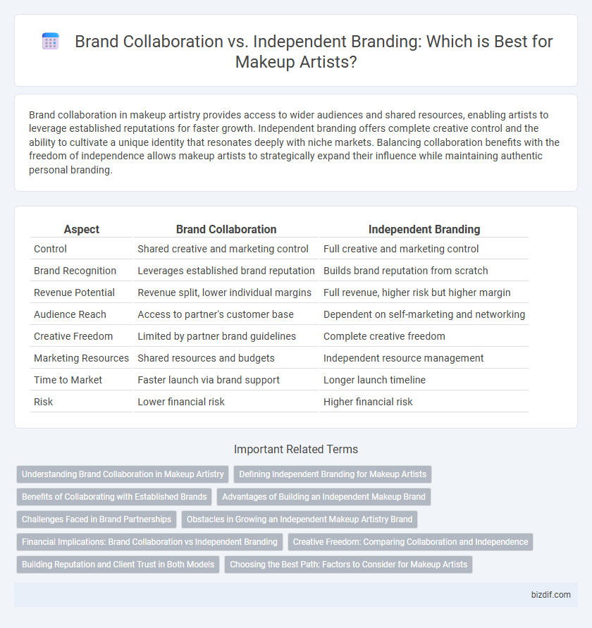 Brand Collaboration vs. Independent Branding: Which is Best for Makeup Artists?
