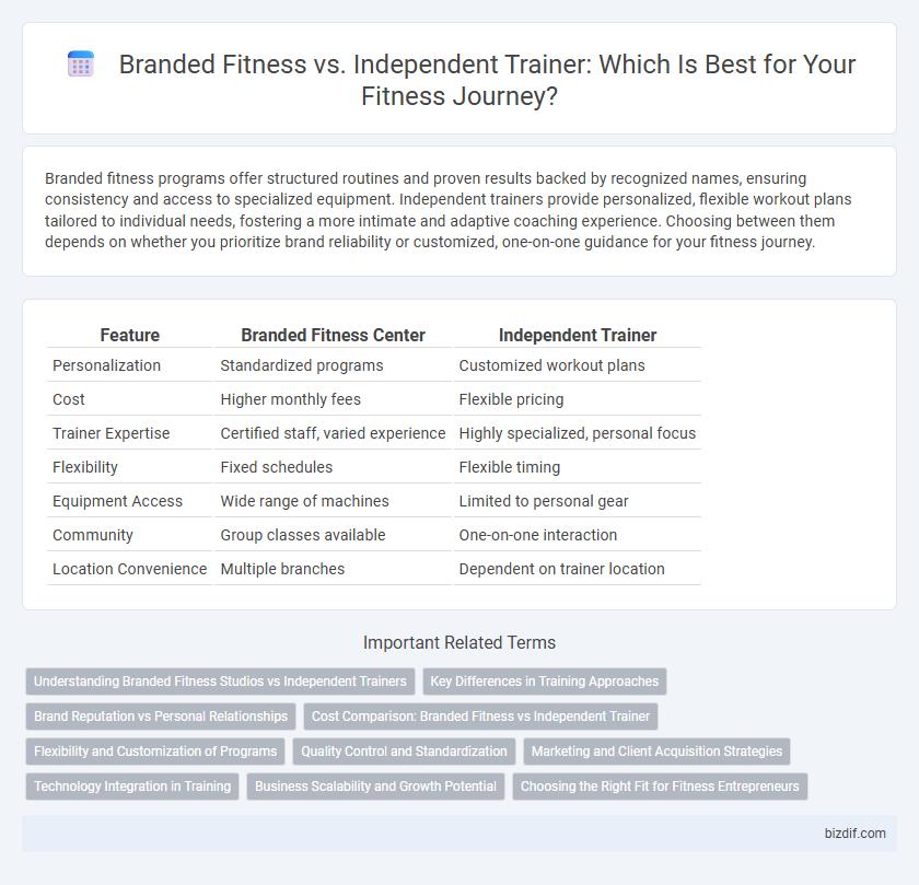 Branded Fitness vs. Independent Trainer: Which Is Best for Your Fitness Journey?