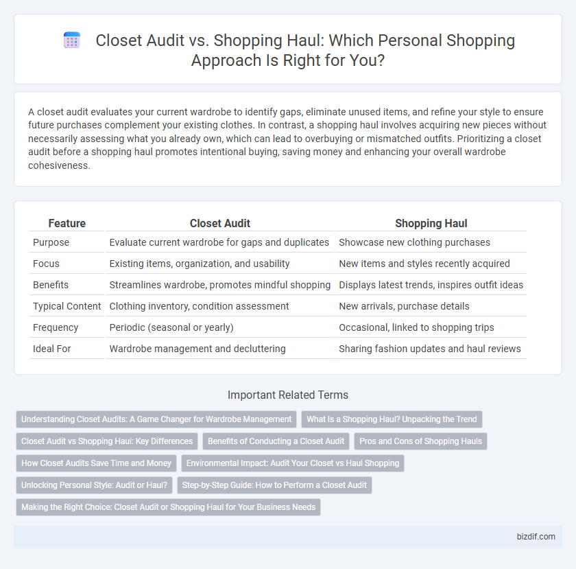 Closet Audit vs. Shopping Haul: Which Personal Shopping Approach Is Right for You?