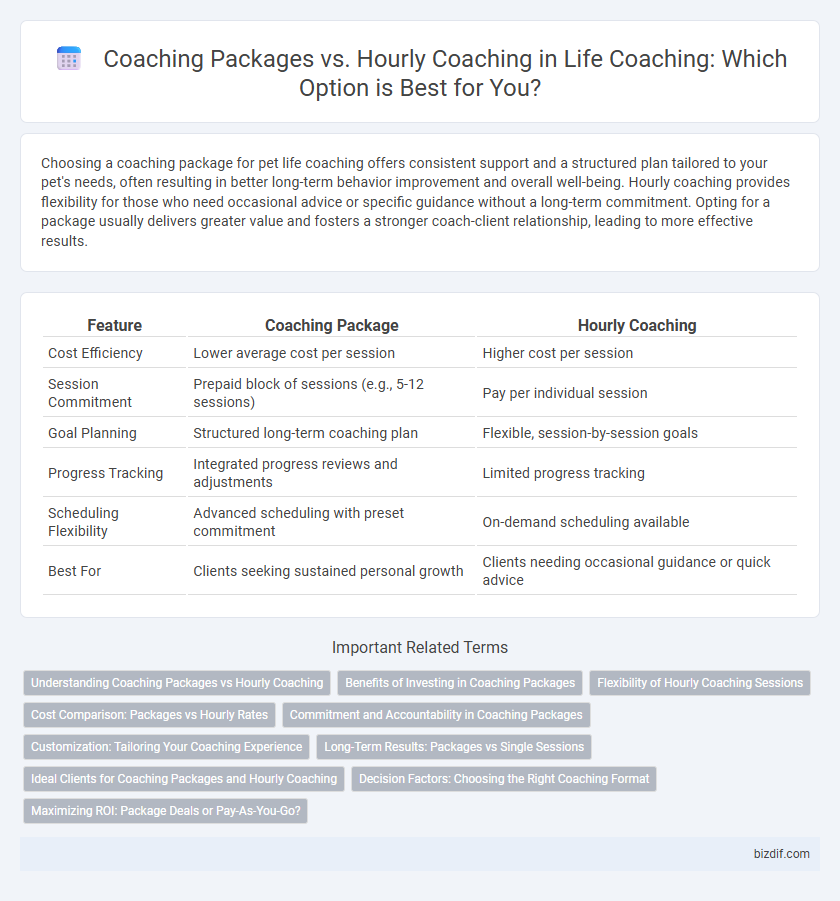 Coaching Packages vs. Hourly Coaching in Life Coaching: Which Option is Best for You?