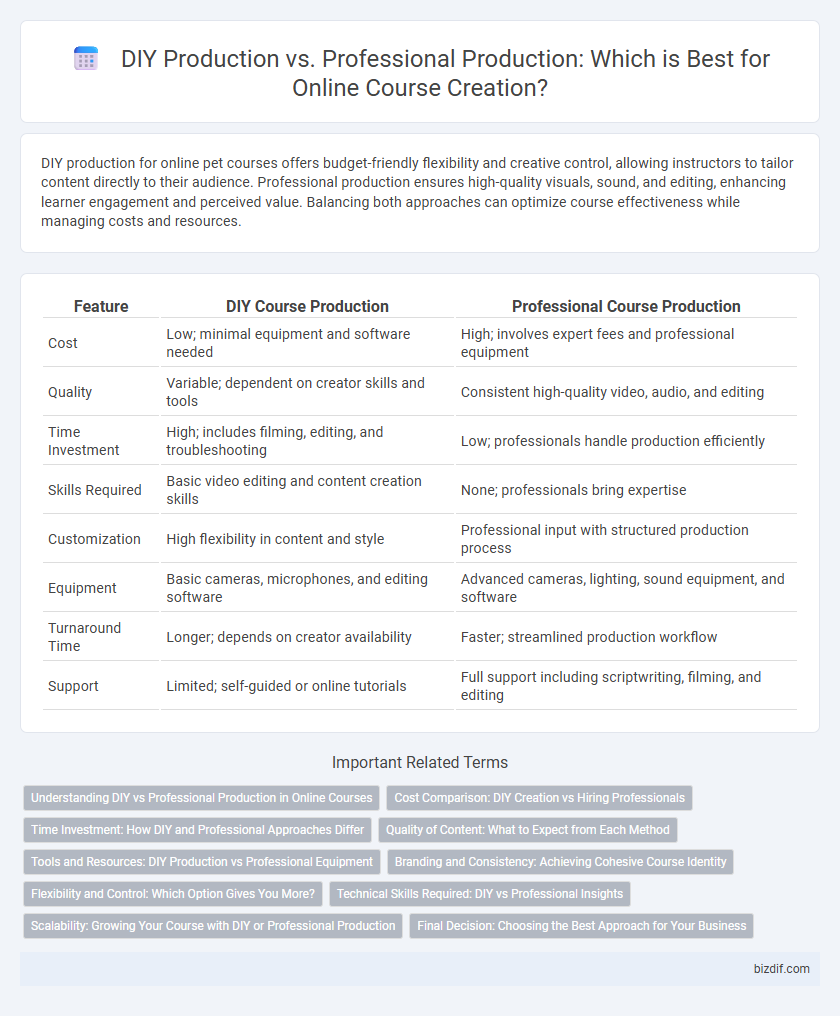 DIY Production vs. Professional Production: Which is Best for Online Course Creation?