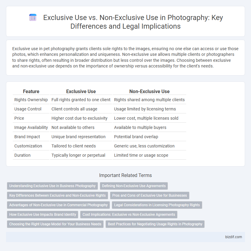 Exclusive Use vs. Non-Exclusive Use in Photography: Key Differences and Legal Implications