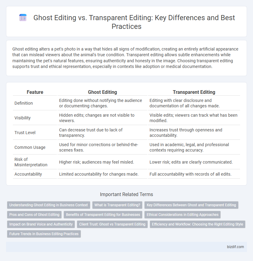 Ghost Editing vs. Transparent Editing: Key Differences and Best Practices