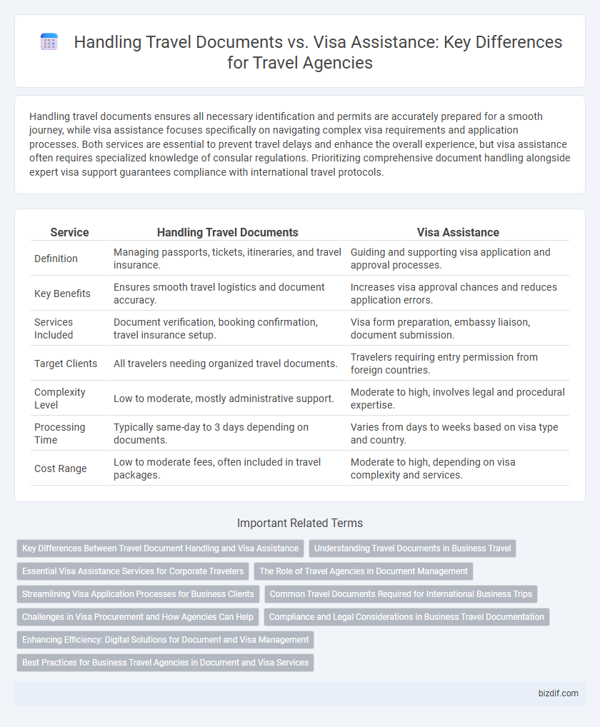 Handling Travel Documents vs. Visa Assistance: Key Differences for Travel Agencies