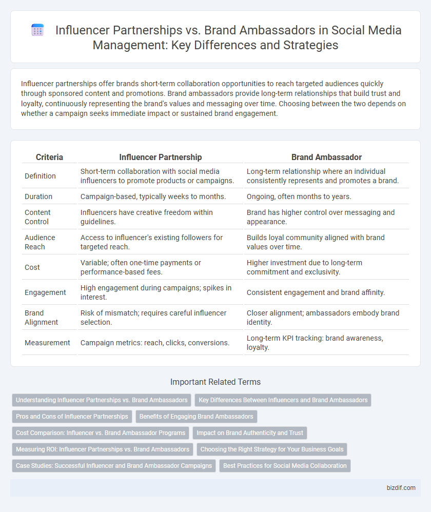 Influencer Partnerships vs. Brand Ambassadors in Social Media Management: Key Differences and Strategies