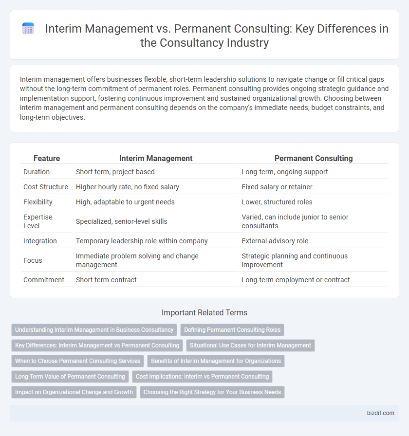 Interim Management vs. Permanent Consulting: Key Differences in the Consultancy Industry