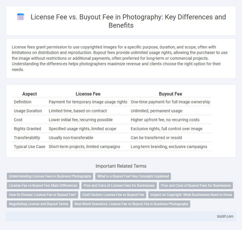 License Fee vs. Buyout Fee in Photography: Key Differences and Benefits