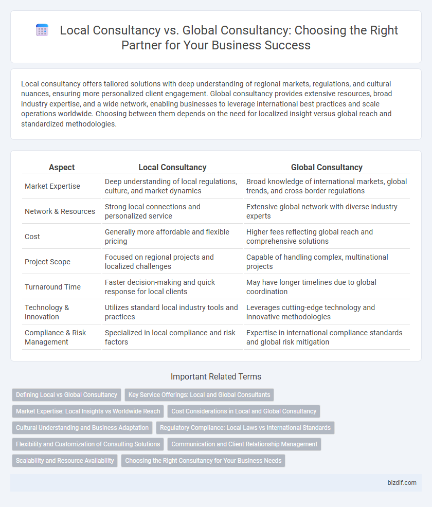 Local Consultancy vs. Global Consultancy: Choosing the Right Partner for Your Business Success