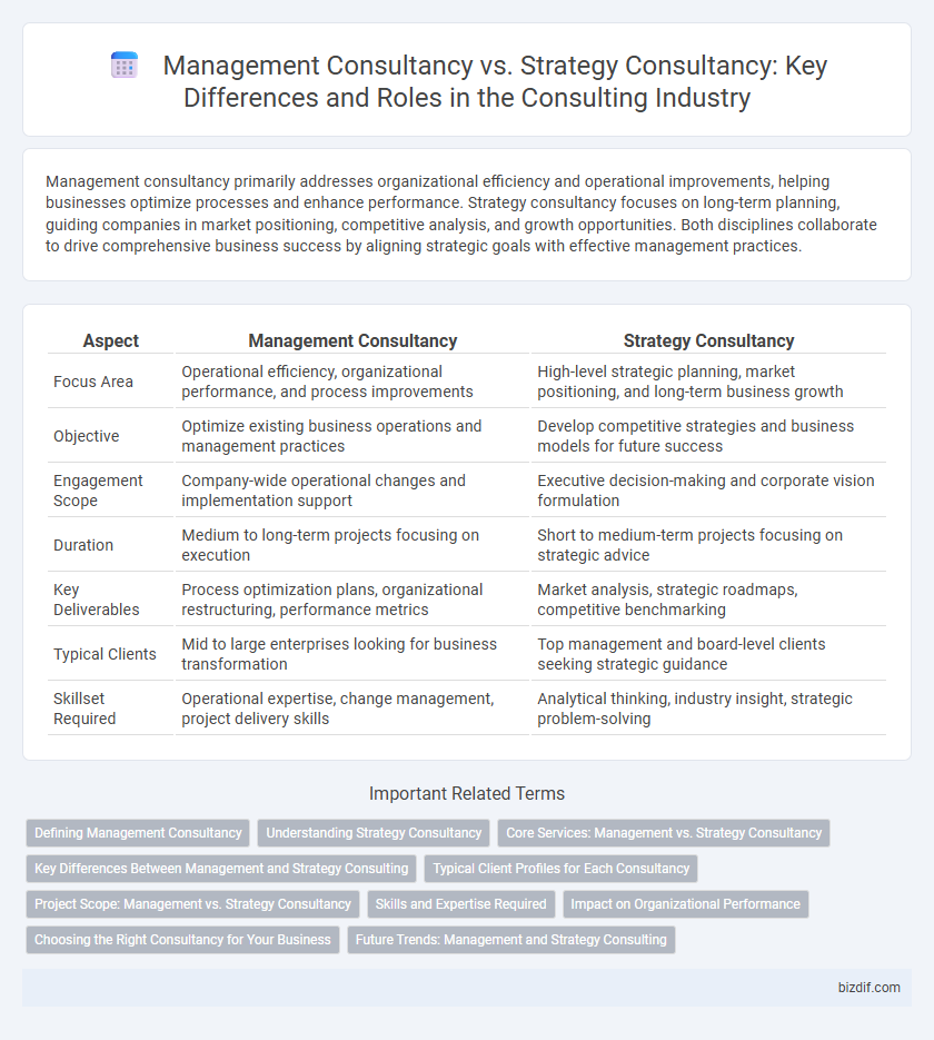Management Consultancy vs. Strategy Consultancy: Key Differences and Roles in the Consulting Industry
