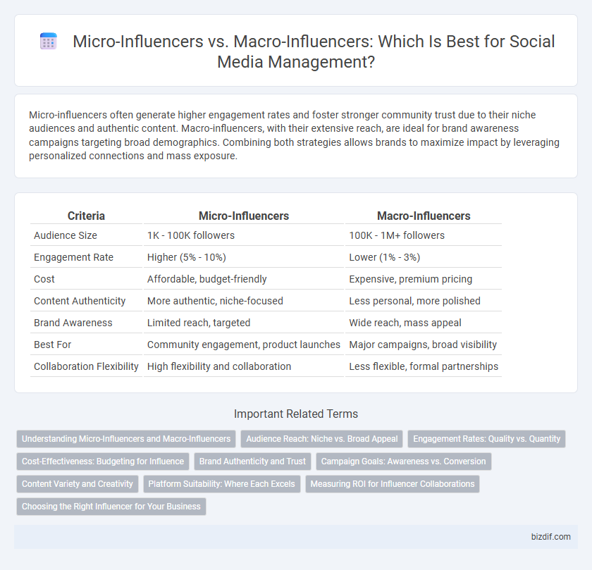 Micro-Influencers vs. Macro-Influencers: Which Is Best for Social Media Management?