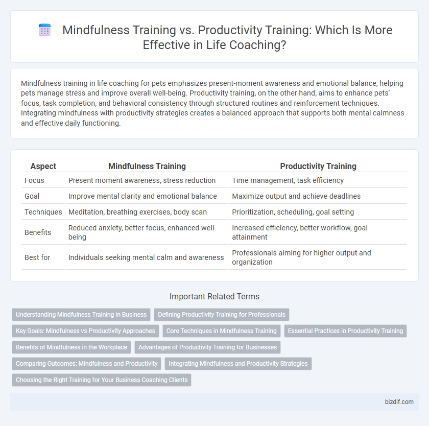 Mindfulness Training vs. Productivity Training: Which Is More Effective in Life Coaching?
