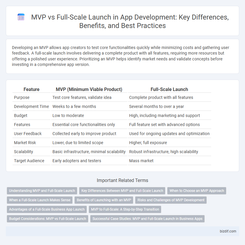 MVP vs Full-Scale Launch in App Development: Key Differences, Benefits, and Best Practices