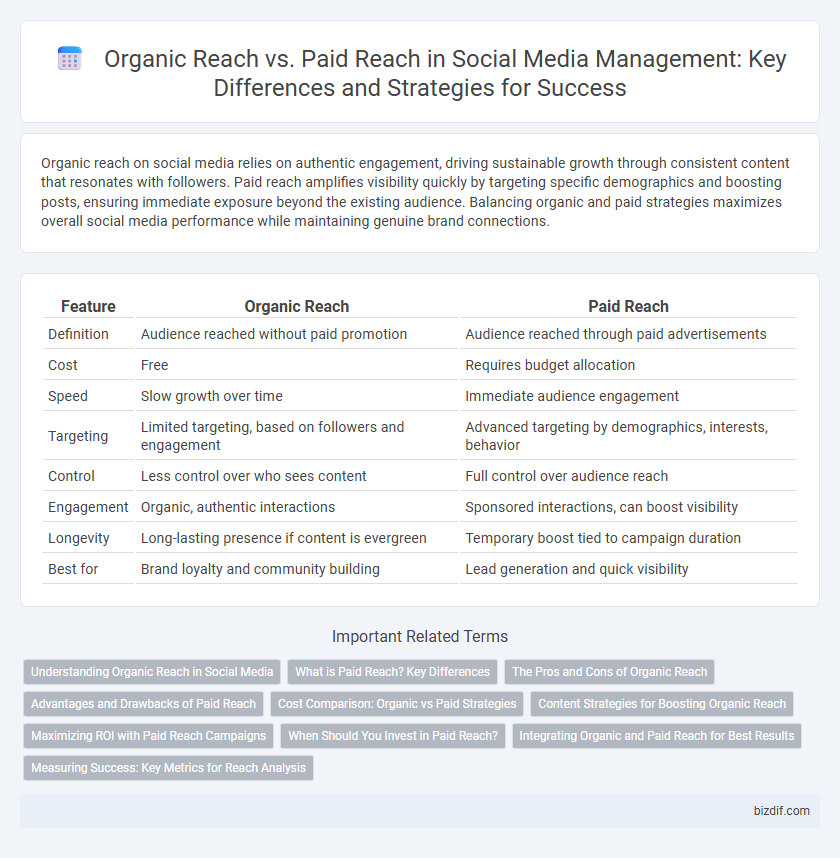 Organic Reach vs. Paid Reach in Social Media Management: Key Differences and Strategies for Success