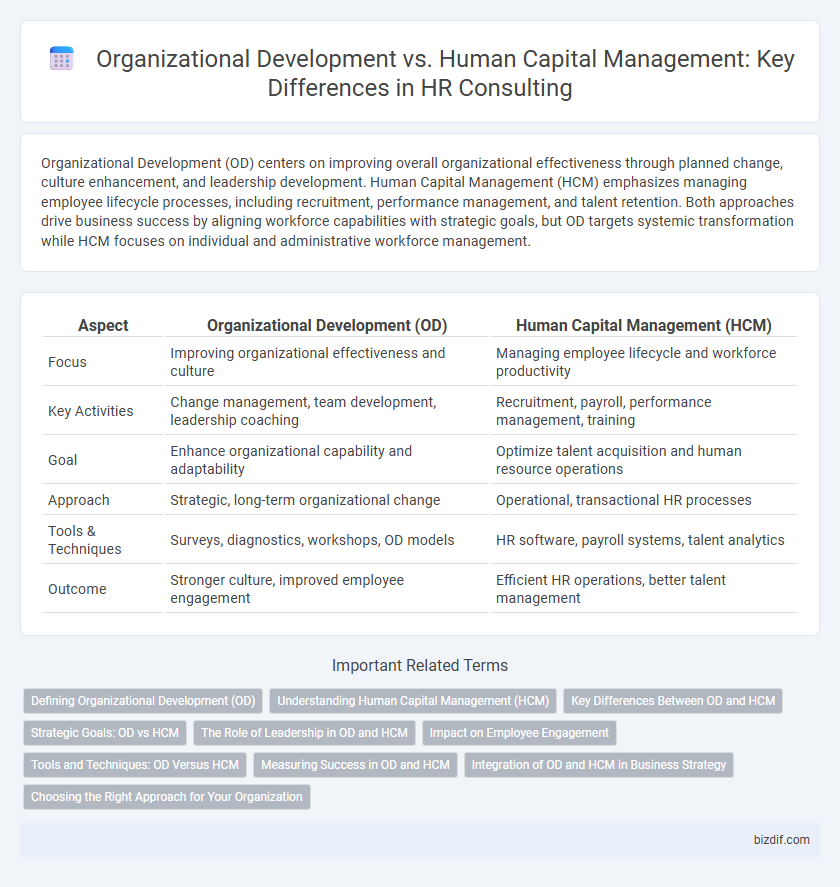 Organizational Development vs. Human Capital Management: Key Differences in HR Consulting