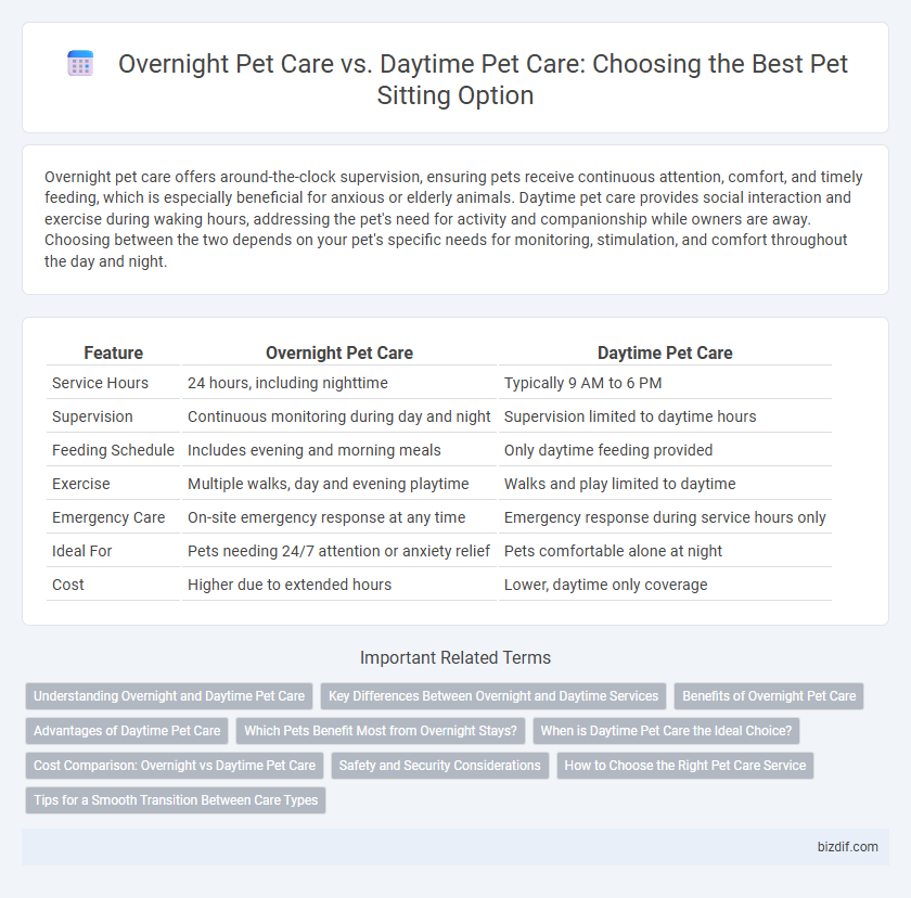 Overnight Pet Care vs. Daytime Pet Care: Choosing the Best Pet Sitting Option