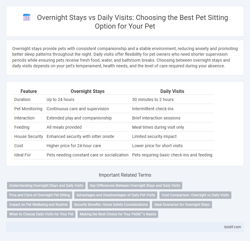 Overnight Stays vs Daily Visits: Choosing the Best Pet Sitting Option for Your Pet