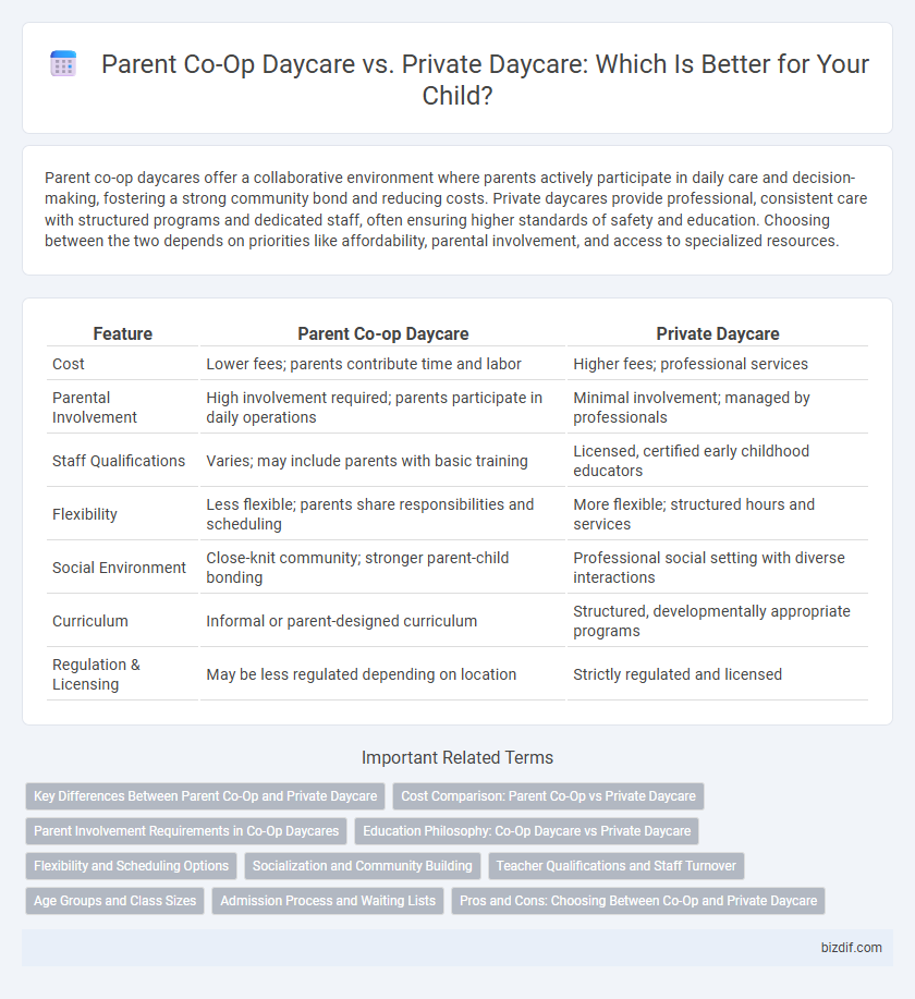 Parent Co-Op Daycare vs. Private Daycare: Which Is Better for Your Child?