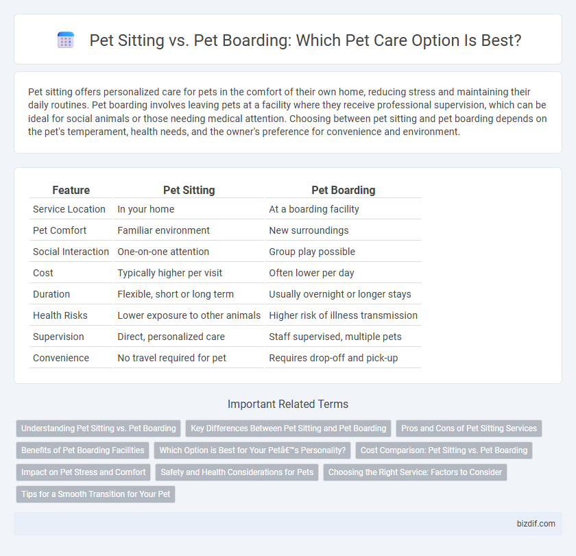 Pet Sitting vs. Pet Boarding: Which Pet Care Option Is Best?