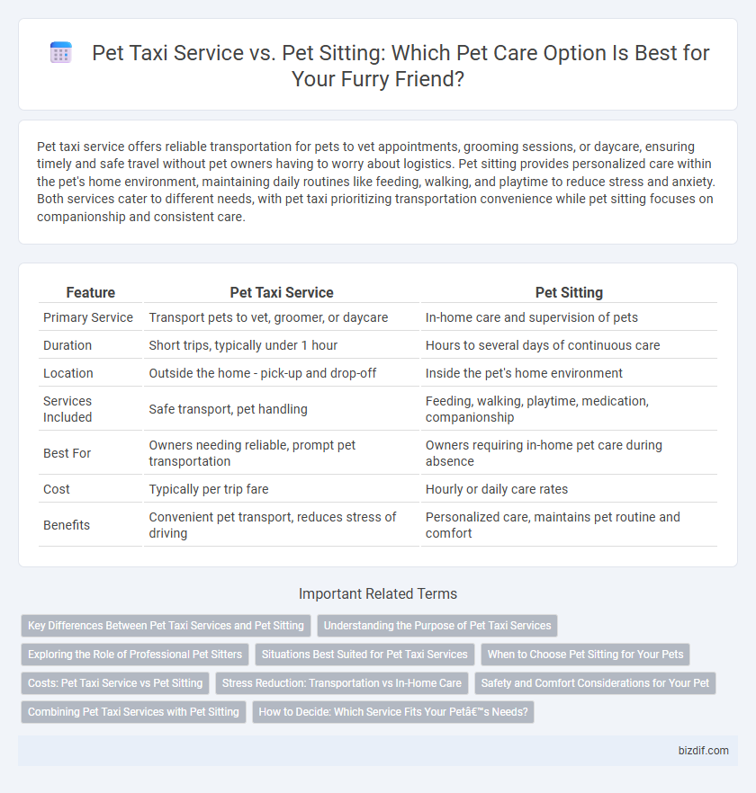Pet Taxi Service vs. Pet Sitting: Which Pet Care Option Is Best for Your Furry Friend?