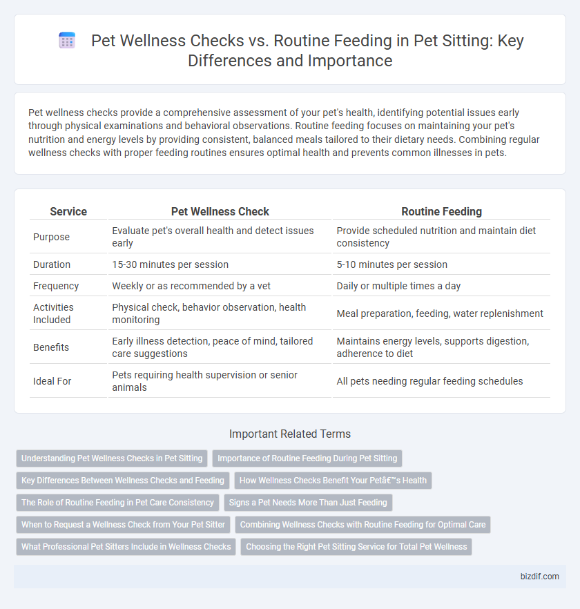 Pet Wellness Checks vs. Routine Feeding in Pet Sitting: Key Differences and Importance