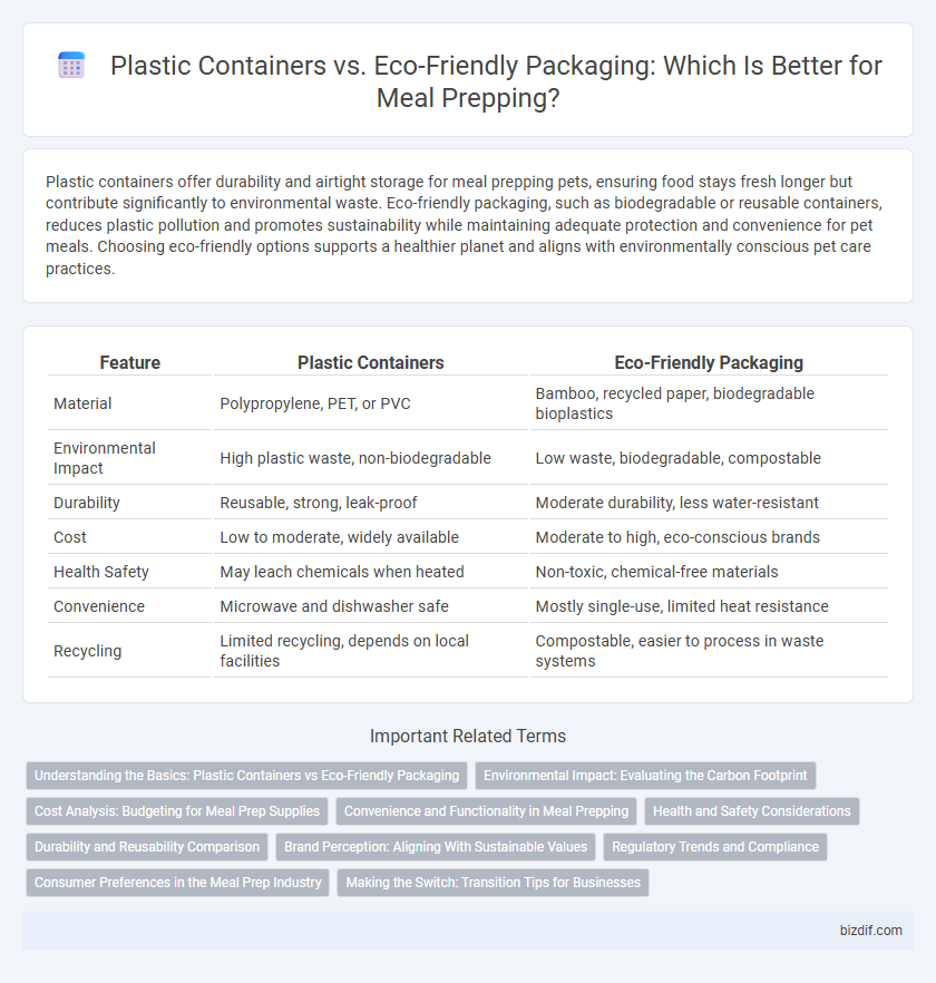 Plastic Containers vs. Eco-Friendly Packaging: Which Is Better for Meal Prepping?
