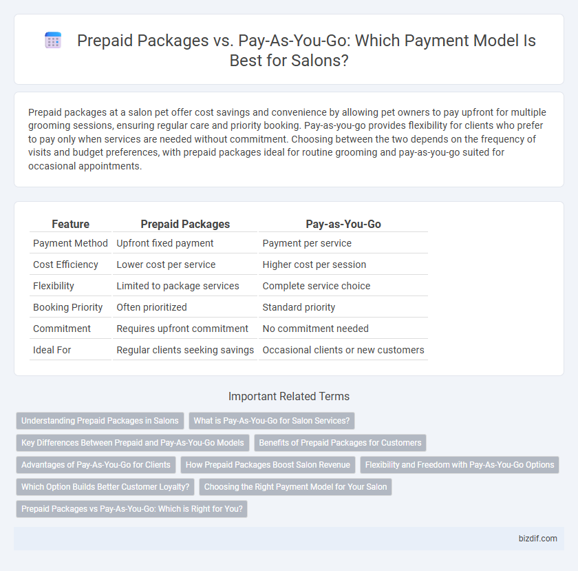 Prepaid Packages vs. Pay-As-You-Go: Which Payment Model Is Best for Salons?