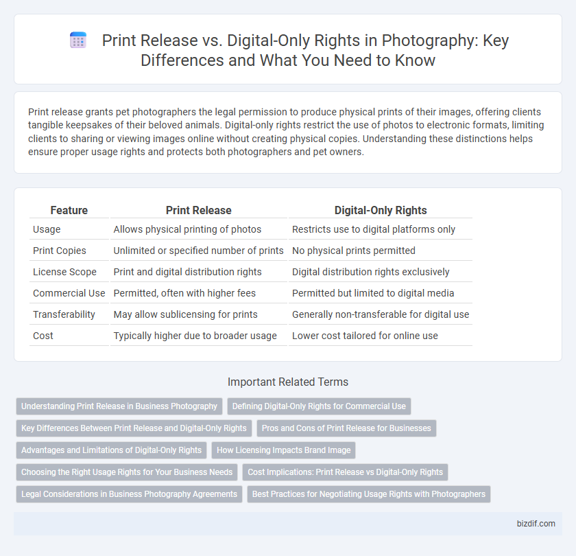 Print Release vs. Digital-Only Rights in Photography: Key Differences and What You Need to Know