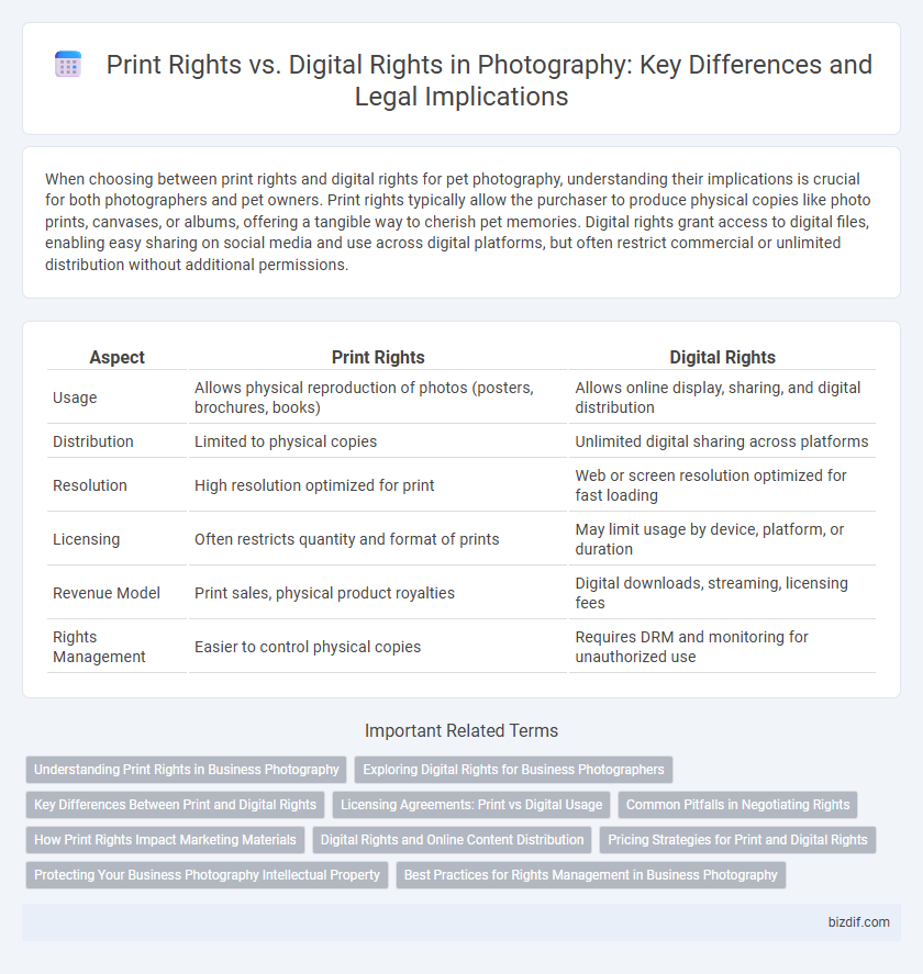 Print Rights vs. Digital Rights in Photography: Key Differences and Legal Implications