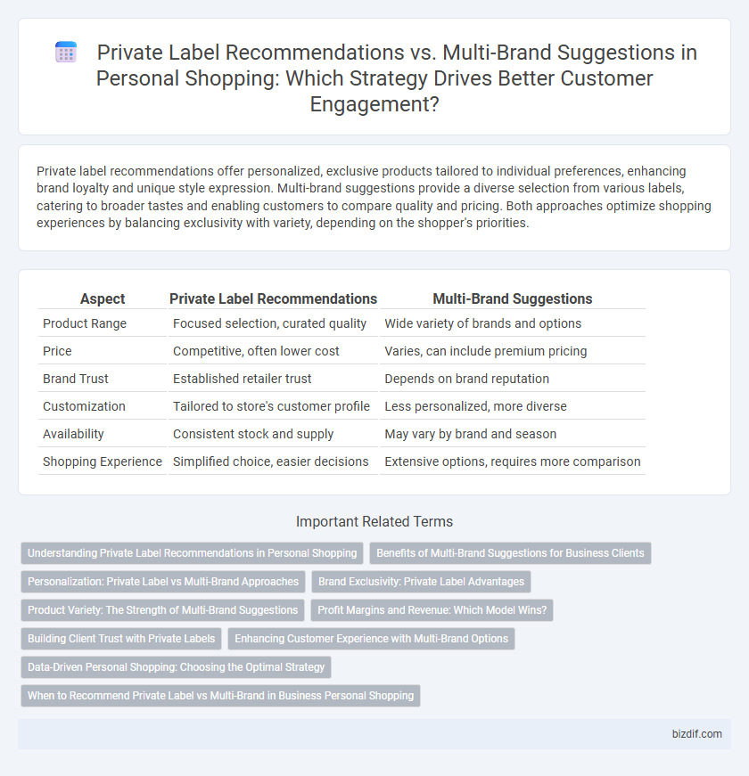 Private Label Recommendations vs. Multi-Brand Suggestions in Personal Shopping: Which Strategy Drives Better Customer Engagement?