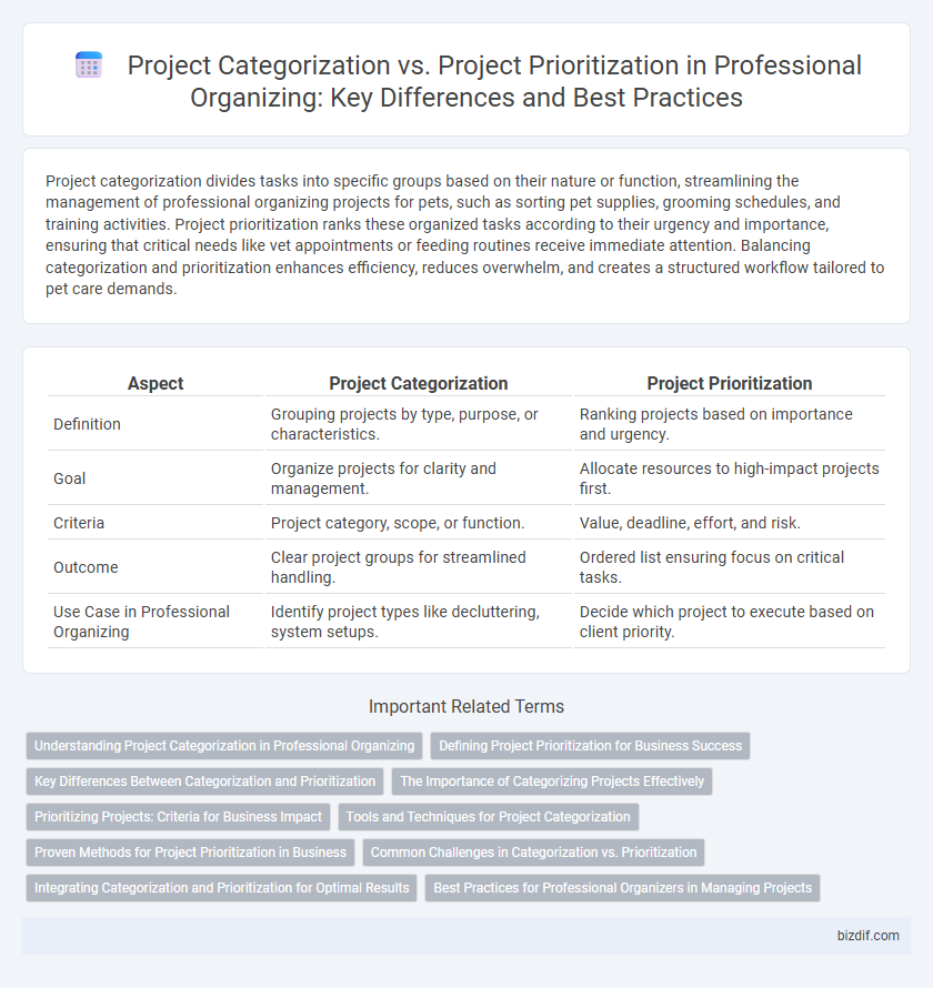 Project Categorization vs. Project Prioritization in Professional Organizing: Key Differences and Best Practices