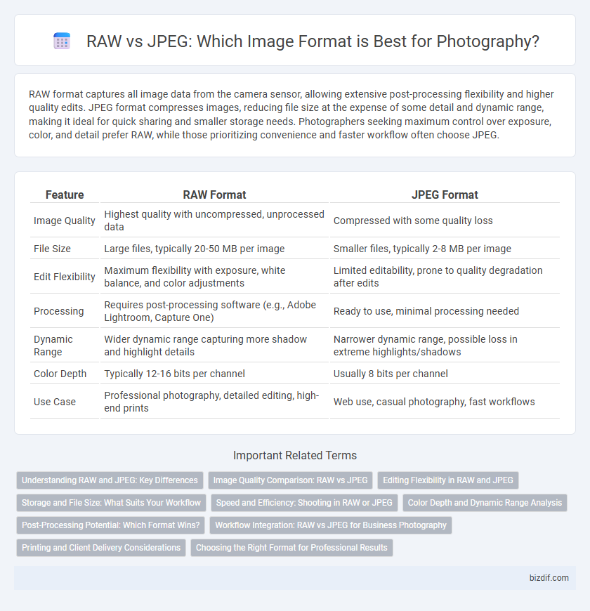 RAW vs JPEG: Which Image Format is Best for Photography?