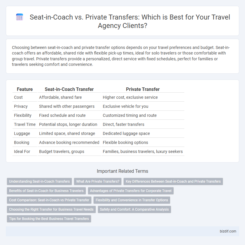 Seat-in-Coach vs. Private Transfers: Which is Best for Your Travel Agency Clients?