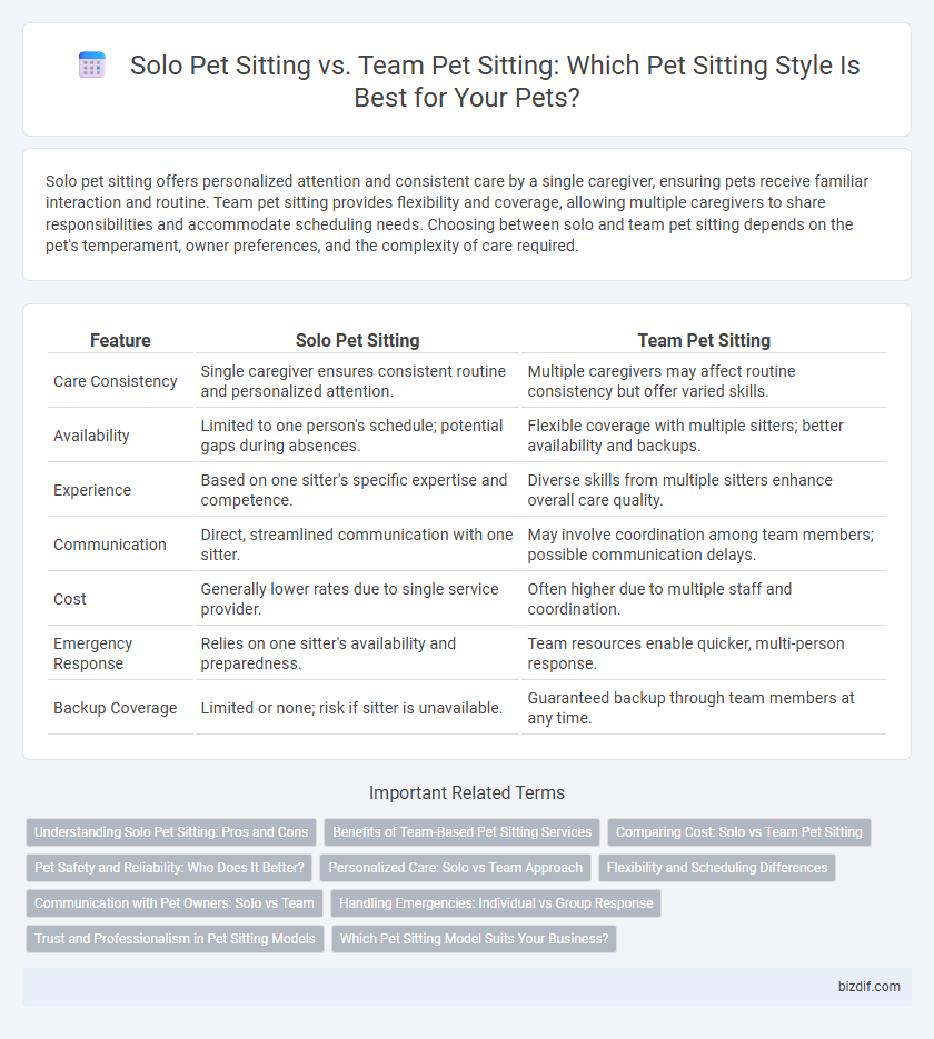 Solo Pet Sitting vs. Team Pet Sitting: Which Pet Sitting Style Is Best for Your Pets?