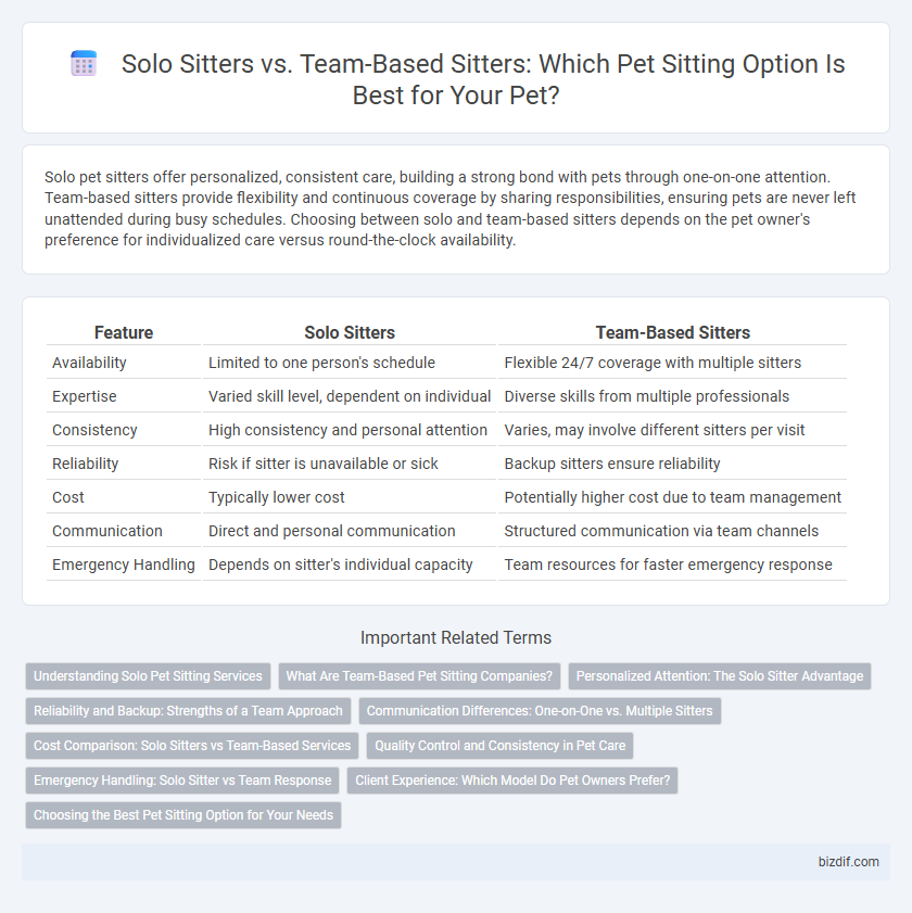 Solo Sitters vs. Team-Based Sitters: Which Pet Sitting Option Is Best for Your Pet?