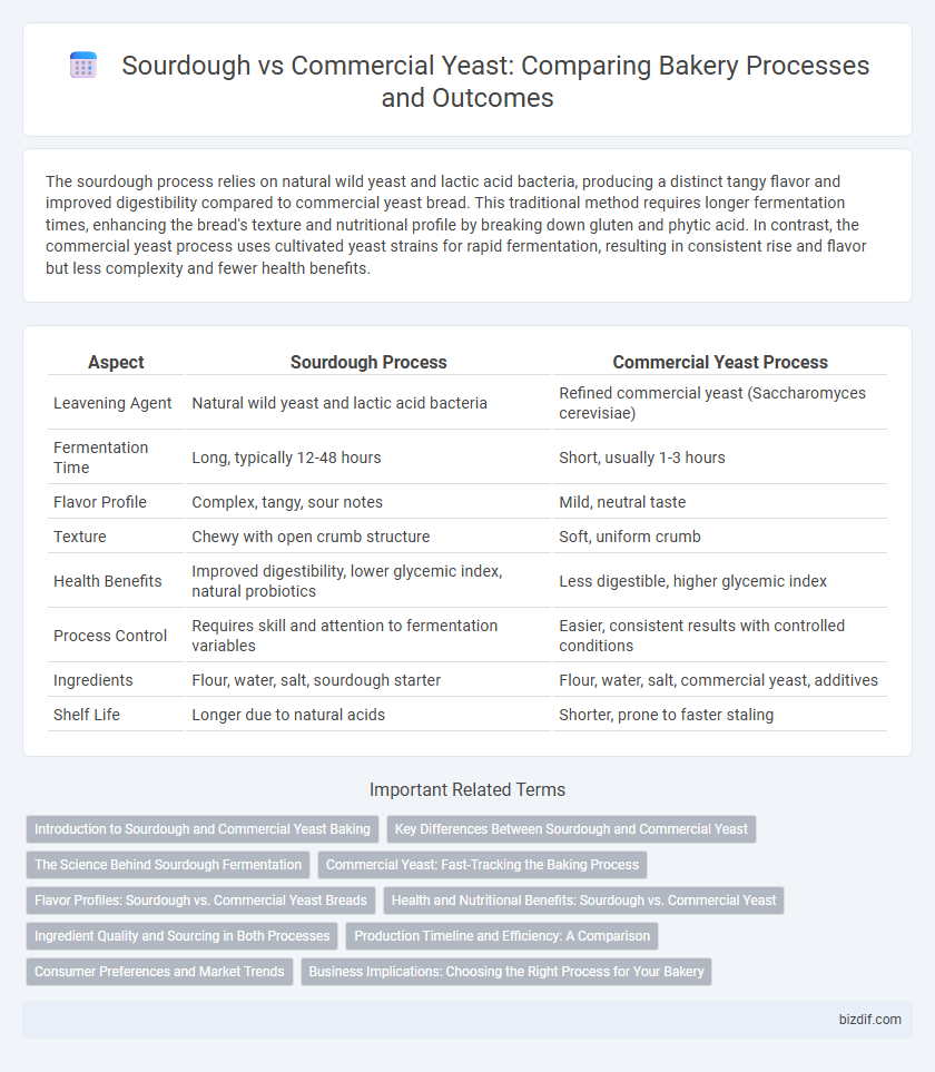 Sourdough vs Commercial Yeast: Comparing Bakery Processes and Outcomes