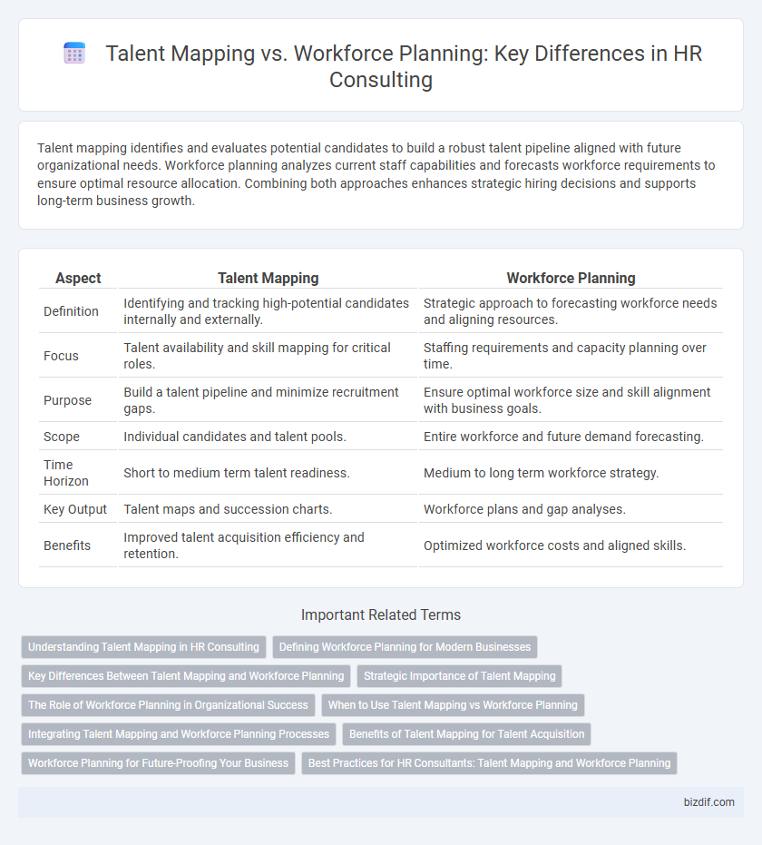 Talent Mapping vs. Workforce Planning: Key Differences in HR Consulting