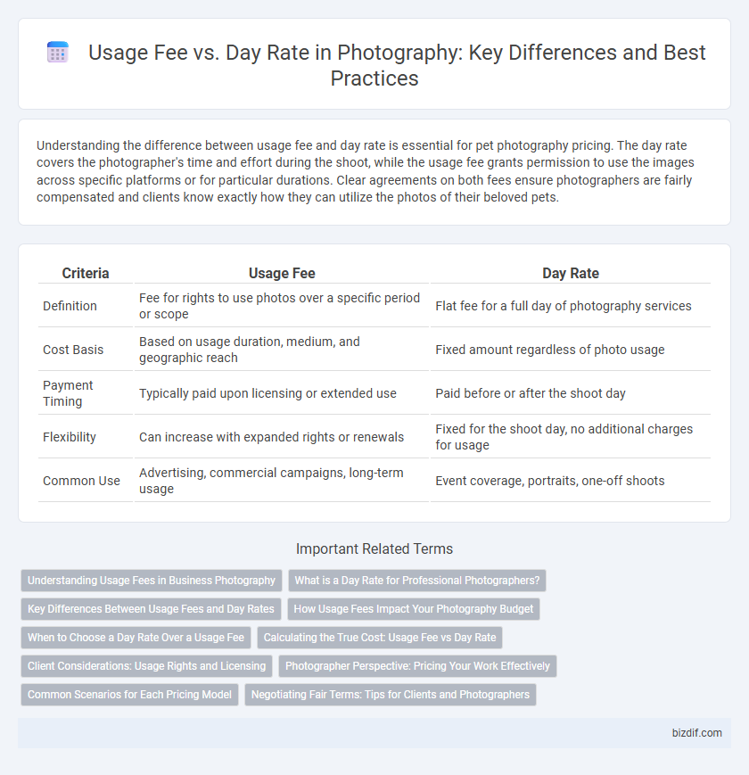 Usage Fee vs. Day Rate in Photography: Key Differences and Best Practices