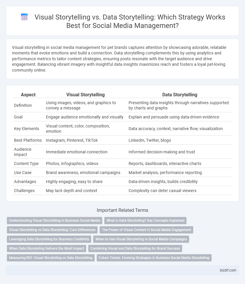 Visual Storytelling vs. Data Storytelling: Which Strategy Works Best for Social Media Management?