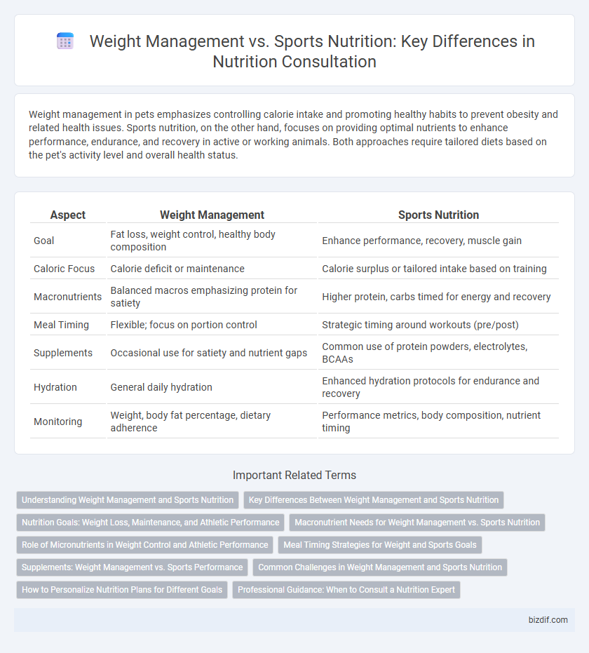 Weight Management vs. Sports Nutrition: Key Differences in Nutrition Consultation
