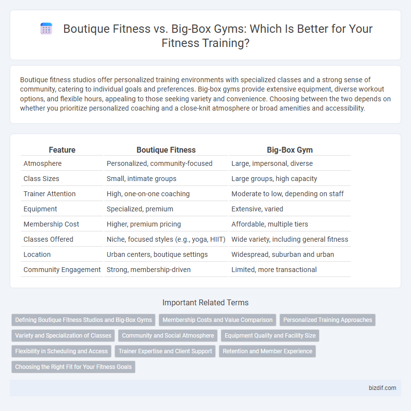 Boutique Fitness vs. Big-Box Gyms: Which Is Better for Your Fitness Training?