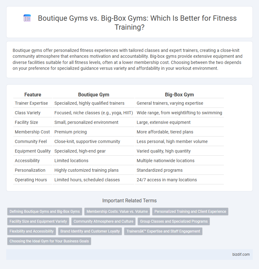 Boutique Gyms vs. Big-Box Gyms: Which Is Better for Fitness Training?
