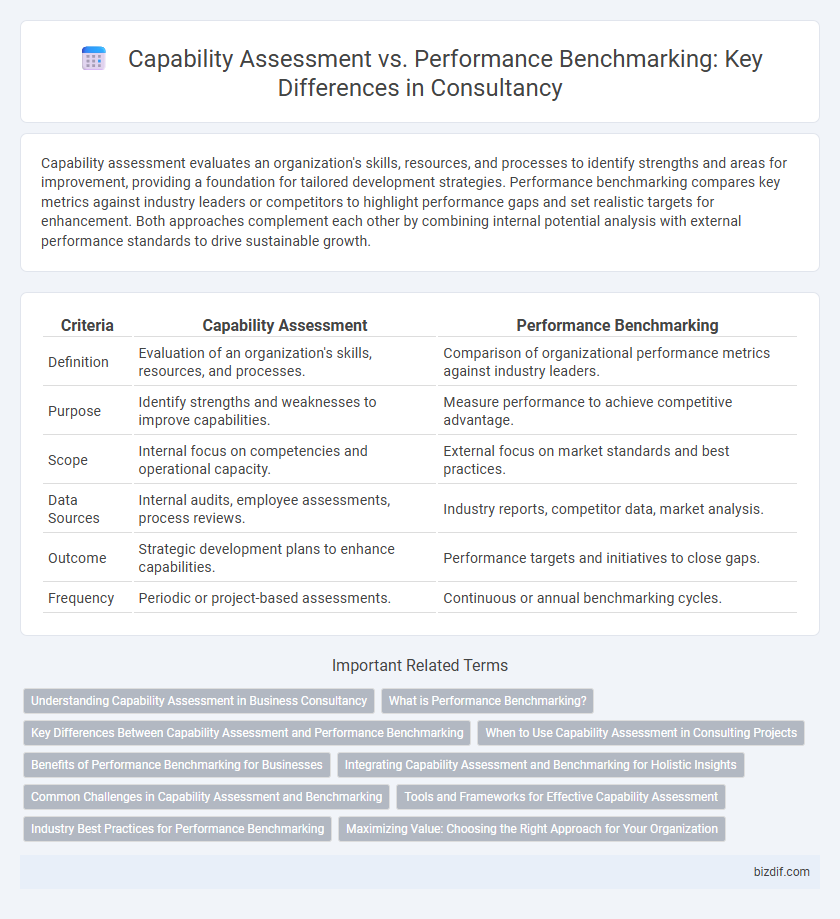 Capability Assessment vs. Performance Benchmarking: Key Differences in Consultancy