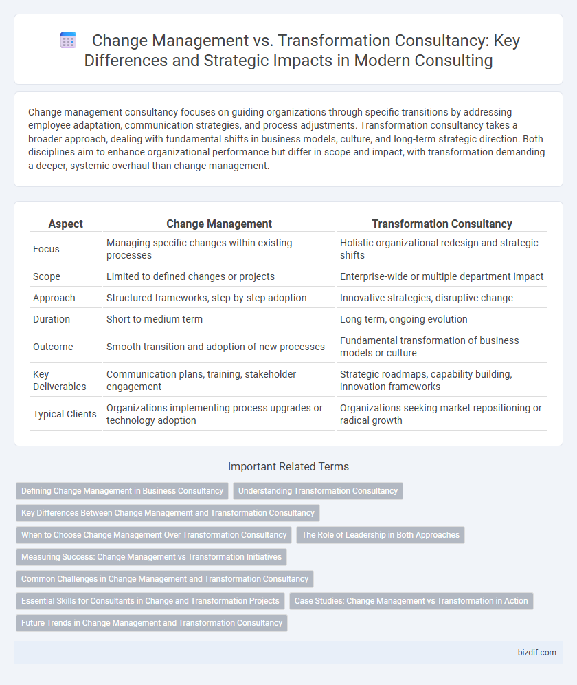 Change Management vs. Transformation Consultancy: Key Differences and Strategic Impacts in Modern Consulting