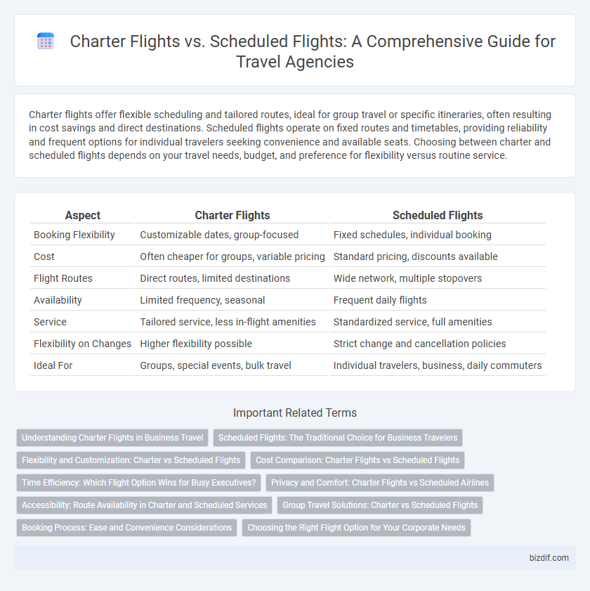 Charter Flights vs. Scheduled Flights: A Comprehensive Guide for Travel Agencies