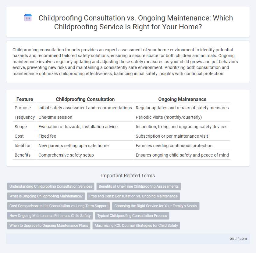 Childproofing Consultation vs. Ongoing Maintenance: Which Childproofing Service Is Right for Your Home?