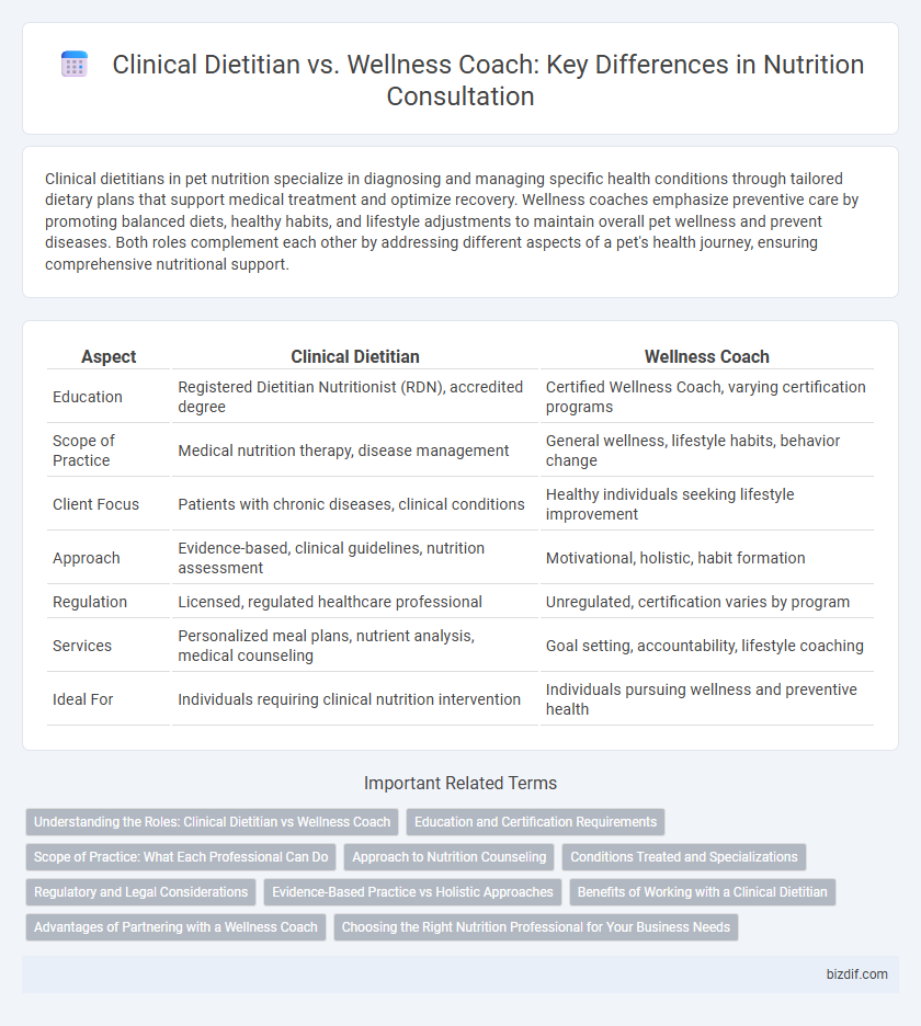 Clinical Dietitian vs. Wellness Coach: Key Differences in Nutrition Consultation